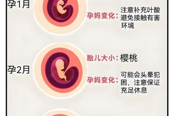 怀孕能算命吗