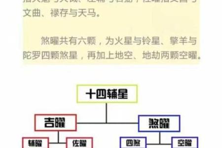 紫微斗数基础探讨 紫微斗数基础知识教学？