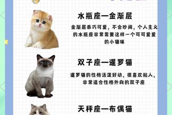 十二星座双子适合养猫狗嘛