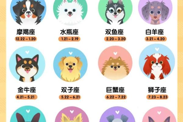 十二星座双子适合养猫狗嘛