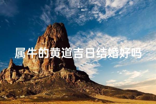 属牛出生最好六个吉日 属牛的出生吉日