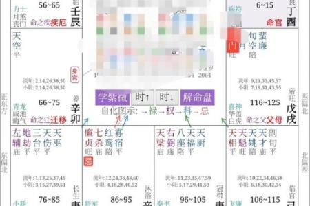 紫薇斗数事业怎么看