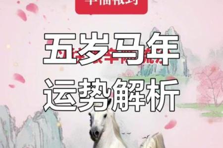 2024年54岁属马的人事业运如何？属马2024年开运方位？