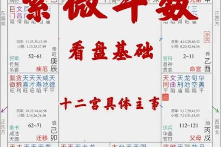 紫薇斗数怎么看命理正缘