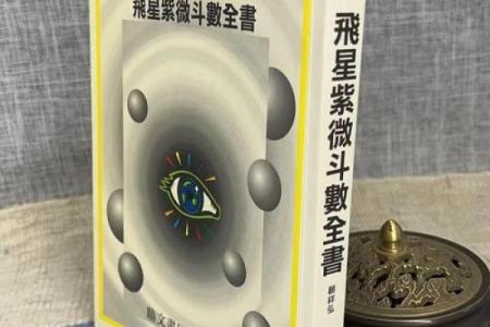 紫薇斗数全集文