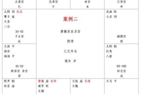 紫微斗数大限紫薇天相 紫微斗数大限排盘实验室？