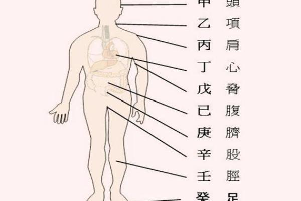 多病八字