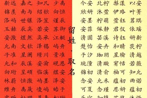 2019年4月13号卯时出生的男孩应该起什么样的名字姓名