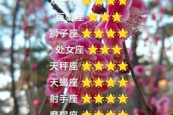 白羊座未来十二星座运势