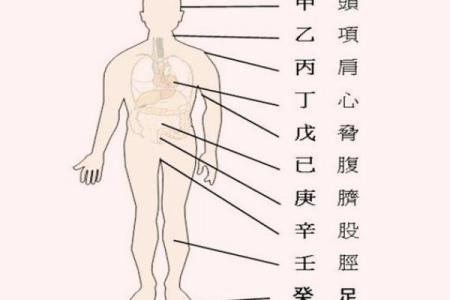 多病八字