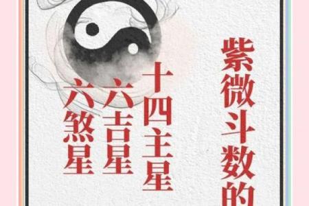 紫薇斗数煞星都有哪些