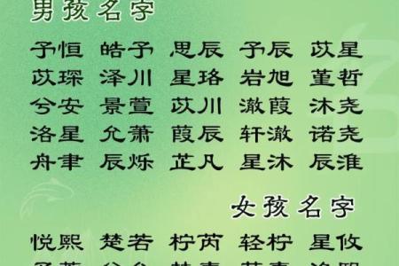 2019年6月23号子时出生的男孩如何起名姓名