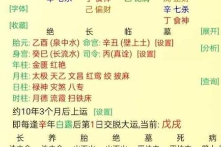 八字解析,八字解析及预测