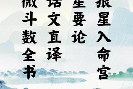麦玲玲谈紫薇斗数