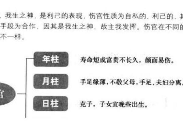 八字命官什么意思 八字命官是什么