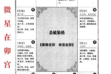 紫薇斗数命盘怎么看