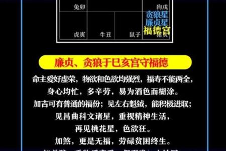 紫薇斗数子斗亥