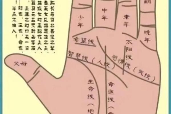 怎样看手相算命,如何学会看手相算命