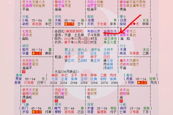 八字命宫在子