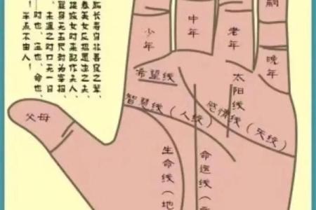 怎样看手相算命,如何学会看手相算命