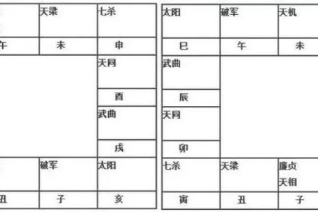 紫微斗数中干支是什么 紫微斗数天干怎么排盘？
