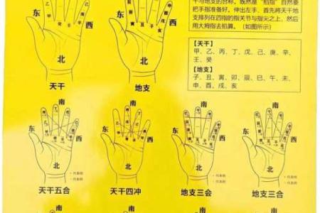八字天干地支怎么看