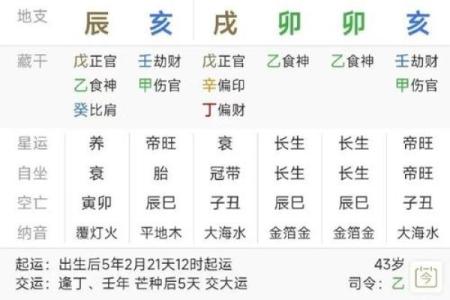 八字命宫在子