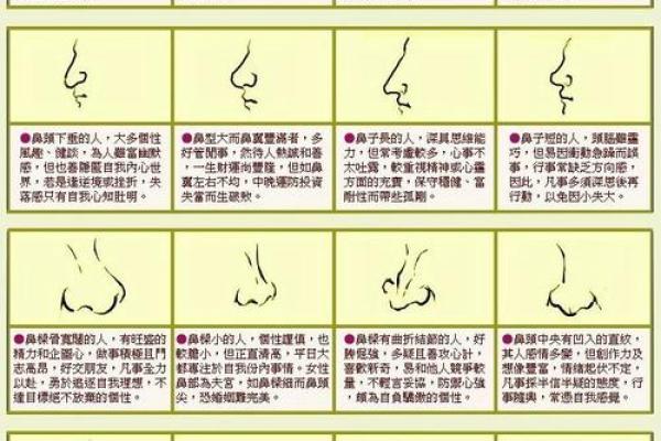 面相算命鼻子