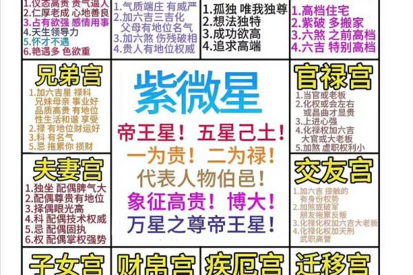 紫薇斗数排盘步骤