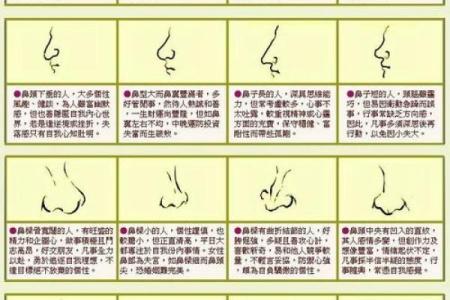 面相算命鼻子