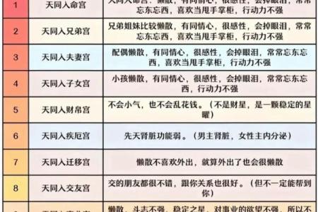 紫薇斗数男命看哪些宫