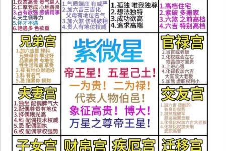 紫薇斗数排盘步骤