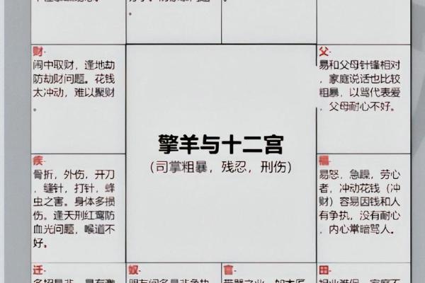 紫薇斗数案例解析