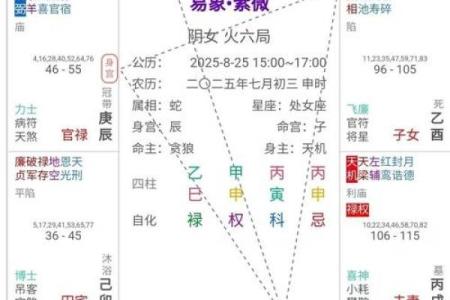 紫薇斗数空亡化解