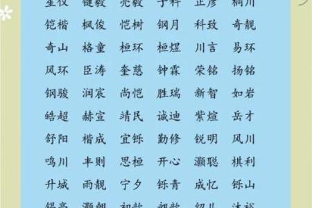 2019年3月12号子时出生的男孩应该起什么样的名字姓名