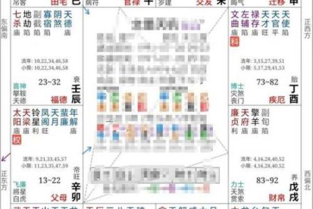 紫薇斗数案例解析