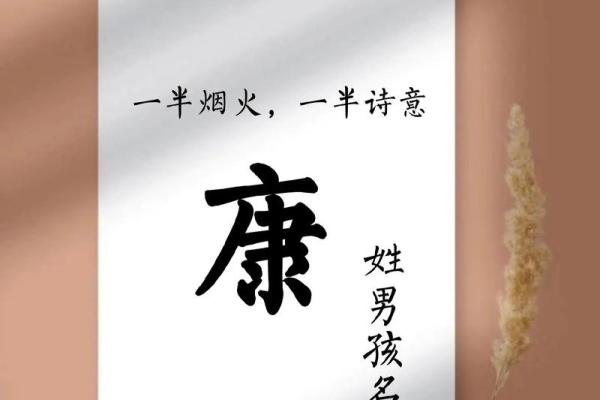 康姓女孩名字大全-康姓女孩起名字大全-康姓名字大全姓名