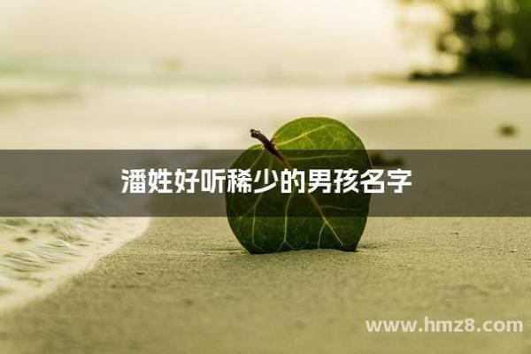 潘姓男孩名字大全-潘姓男孩起名字大全-潘姓名字大全姓名