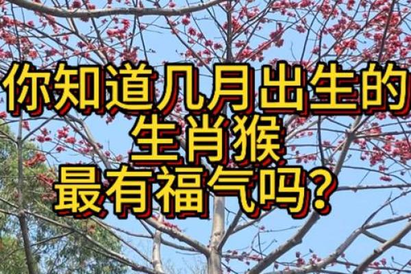 要怎么给晚上1点出生的属猴男孩起名字好姓名