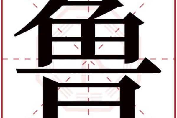 鲁姓女孩名字大全-鲁姓女孩起名字大全-鲁姓名字大全姓名