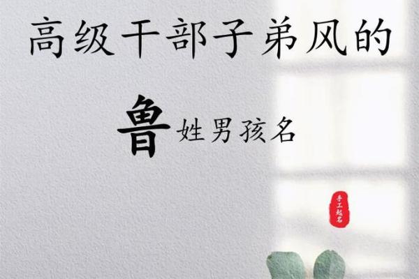 鲁姓女孩名字大全-鲁姓女孩起名字大全-鲁姓名字大全姓名