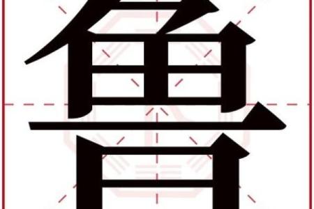 鲁姓女孩名字大全-鲁姓女孩起名字大全-鲁姓名字大全姓名