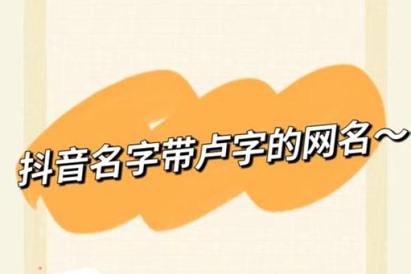 卢姓女孩名字大全-卢姓女孩起名字大全-卢姓名字大全姓名