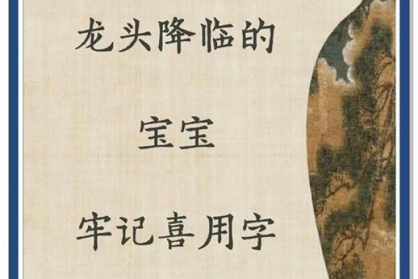 8月份出生的属龙男孩该如何取名字姓名