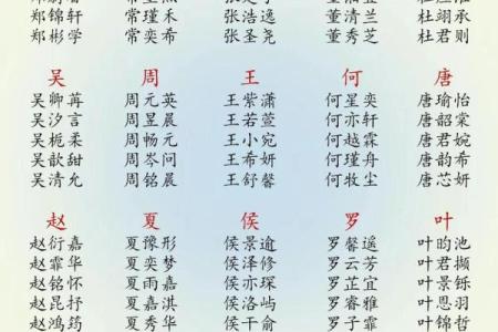 8月份出生的属龙男孩该如何取名字姓名