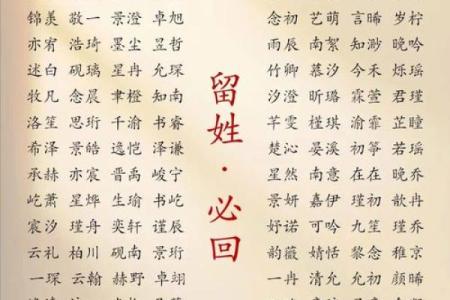 给凌晨3点出生的属猴男孩起名字要用什么字合适姓名