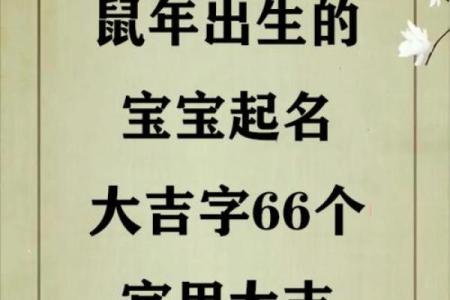 早上8点出生的属鼠男孩起名适合用什么字姓名