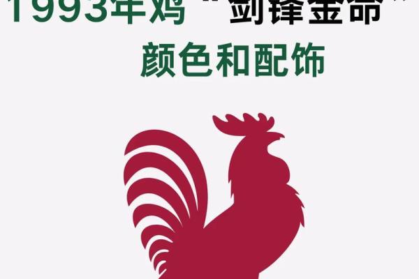 12月份出生的属鸡男孩起什么名字好姓名