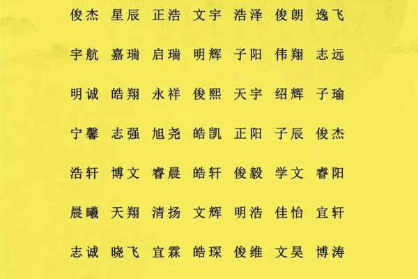 12月份出生的属鸡男孩起什么名字好姓名