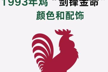 12月份出生的属鸡男孩起什么名字好姓名